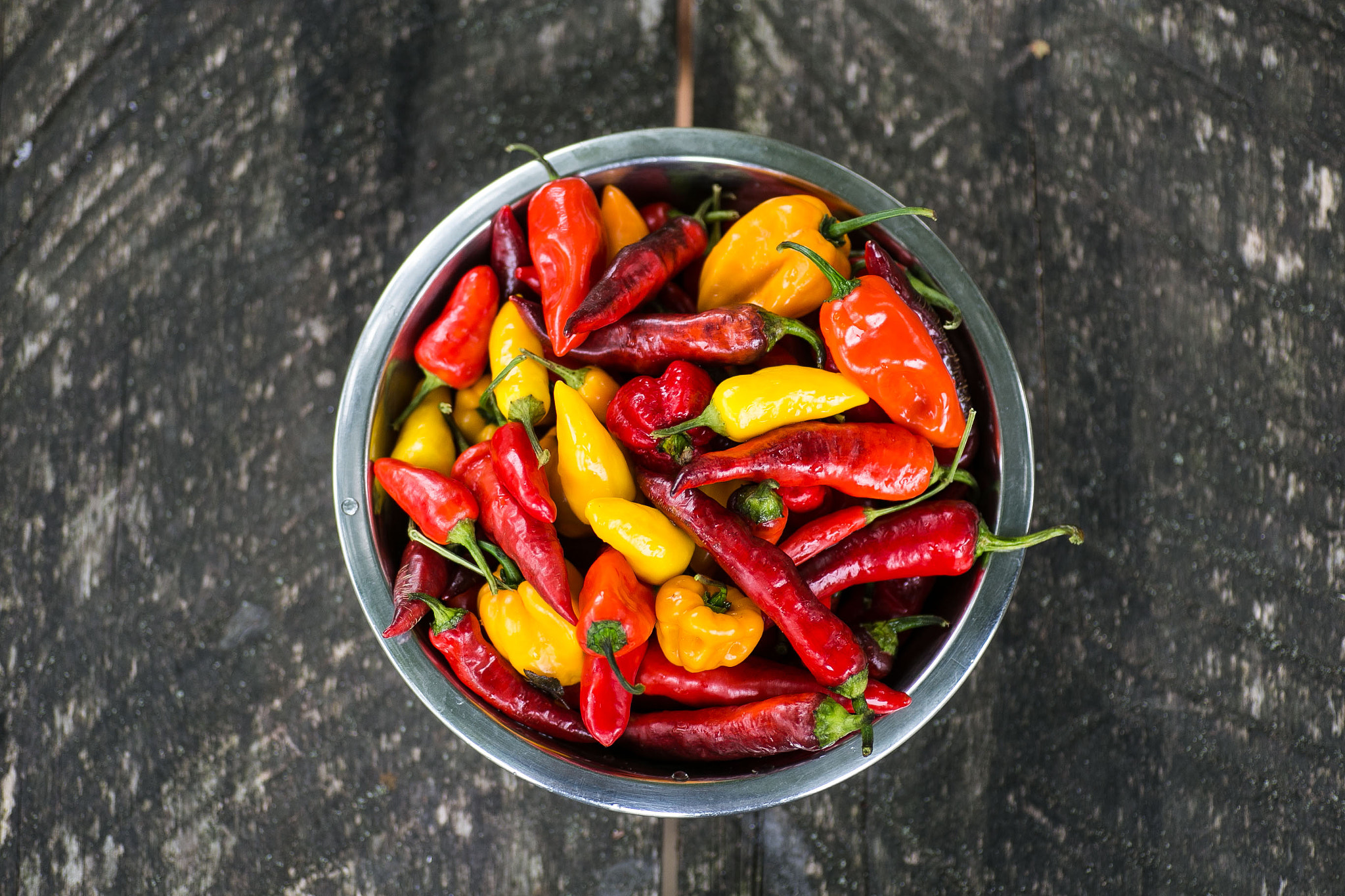 Canon EOS 6D + Tamron SP AF 90mm F2.8 Di Macro sample photo. Chilli peppers 2 photography