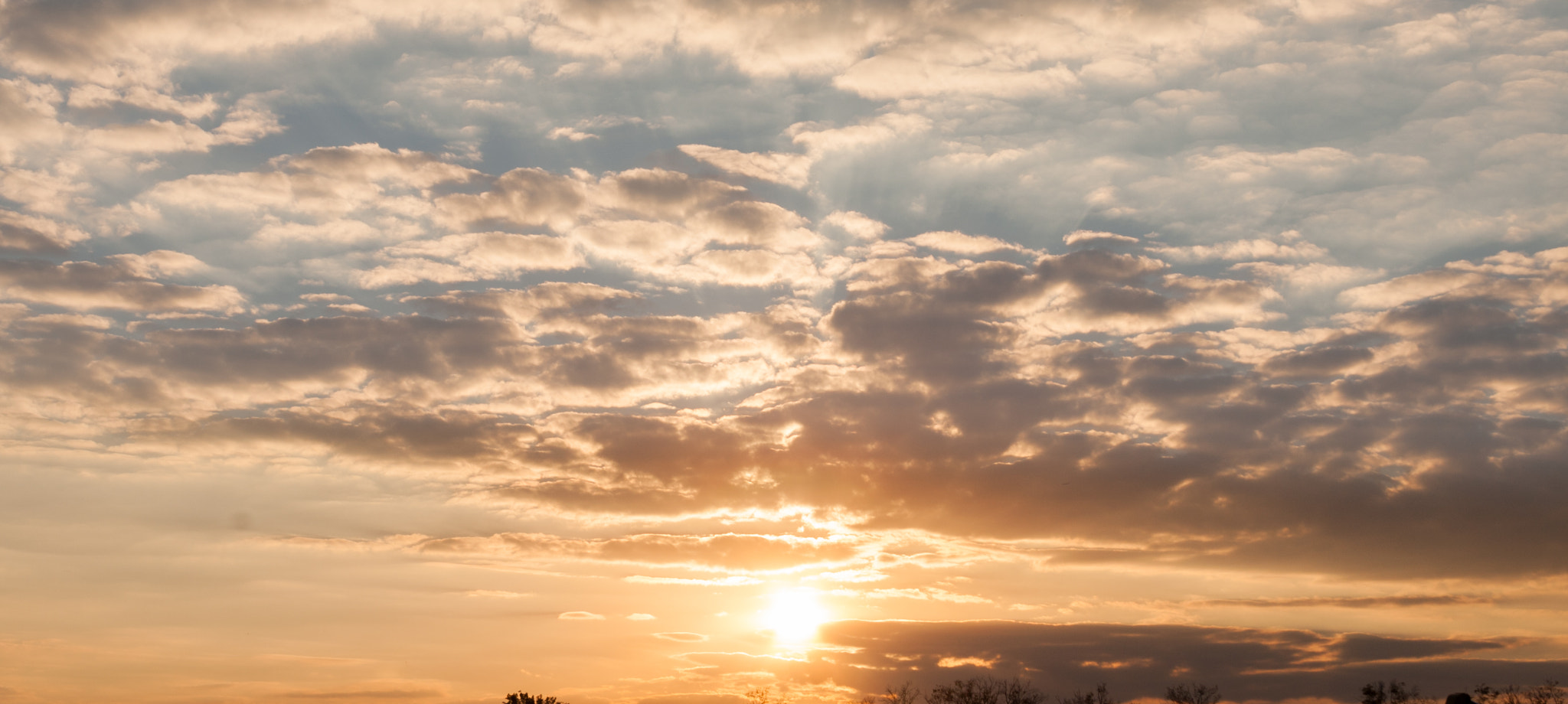 Canon EF-S 18-55mm F3.5-5.6 II sample photo. Golden sunset photography
