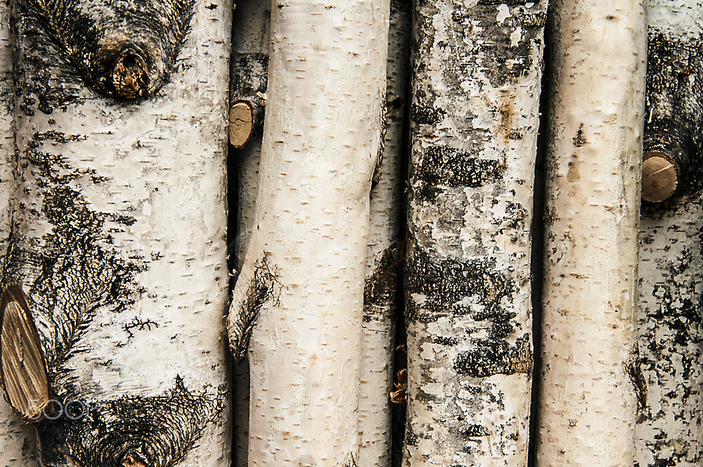 Nikon AF Nikkor 24-85mm F2.8-4D IF sample photo. Birches photography