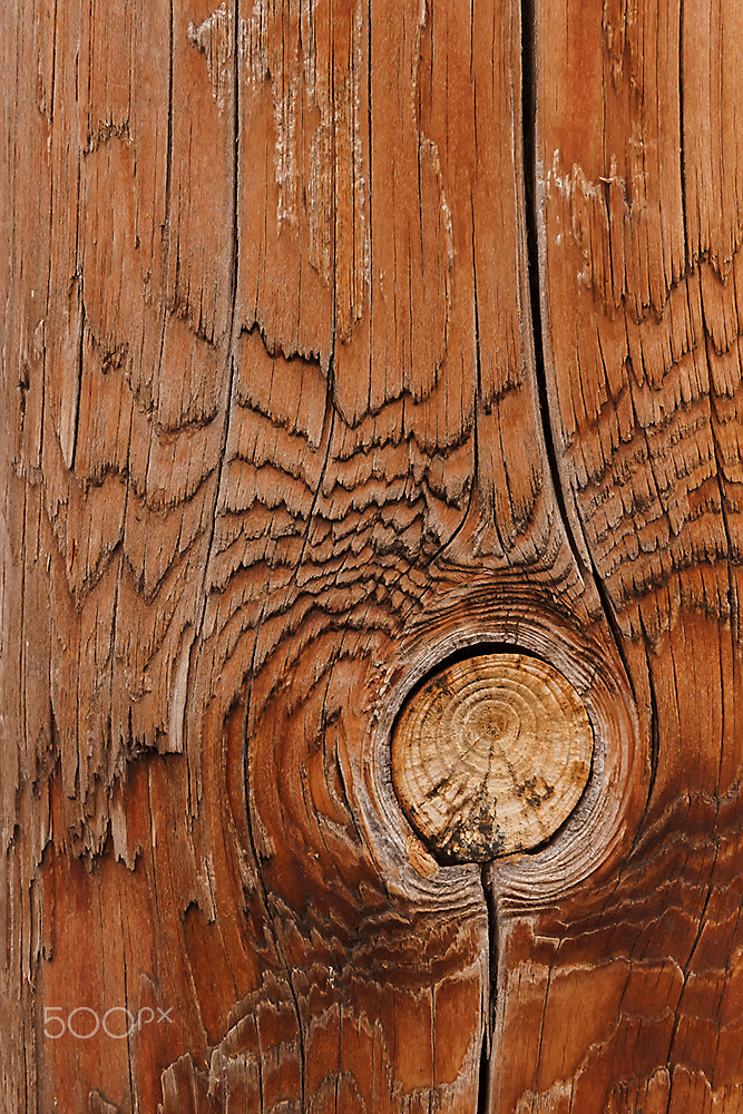 Nikon AF Nikkor 24-85mm F2.8-4D IF sample photo. Knot in the pole photography