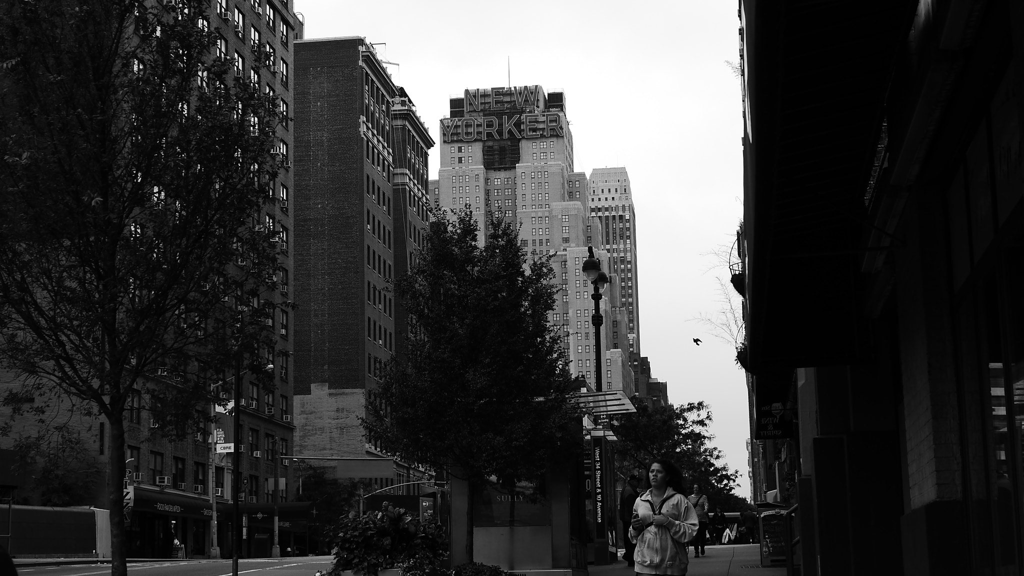 Panasonic Lumix DMC-GH3 + Panasonic Leica DG Summilux 25mm F1.4 II ASPH sample photo. New yorker photography
