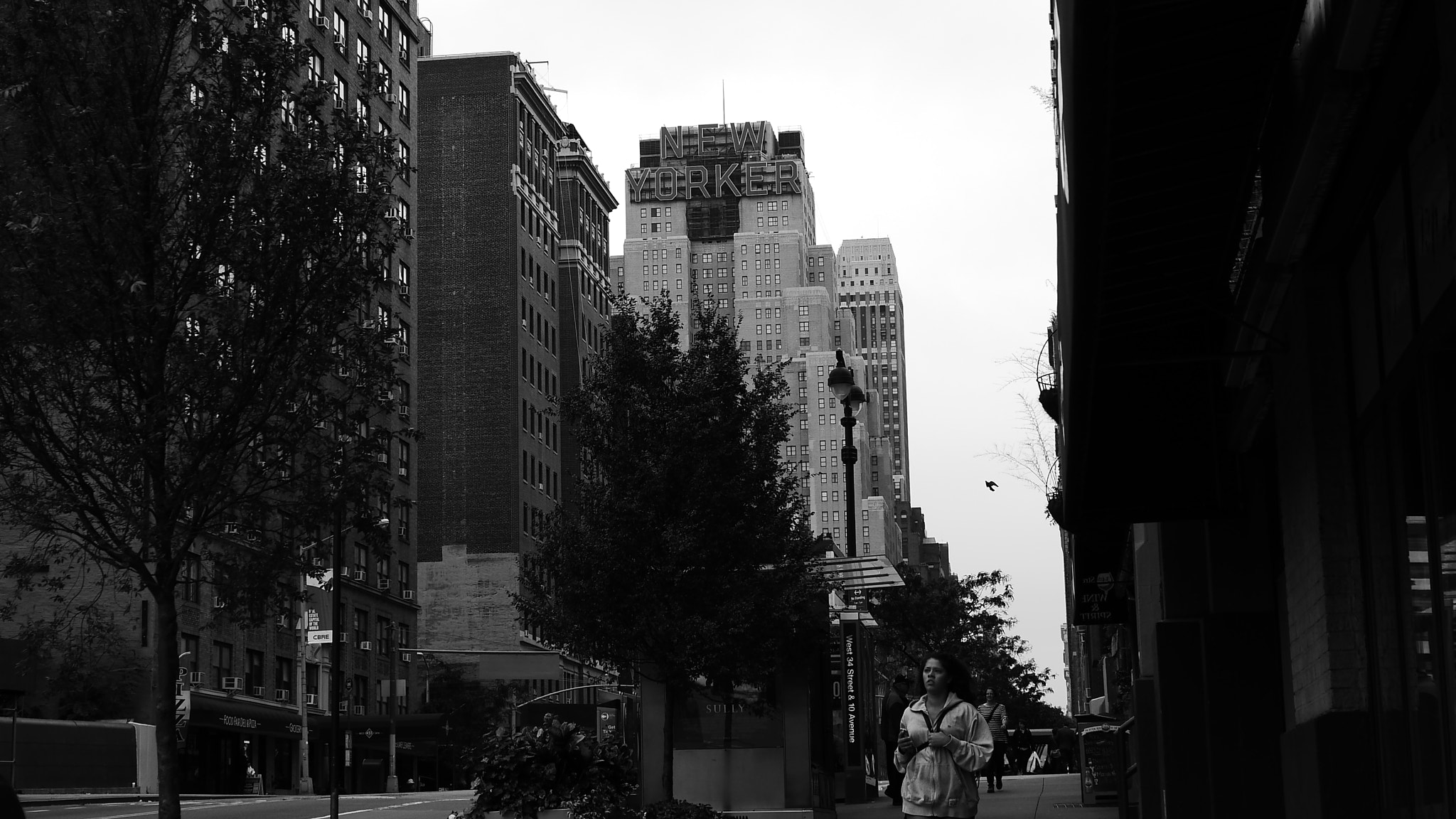 Panasonic Lumix DMC-GH3 sample photo. New yorker photography