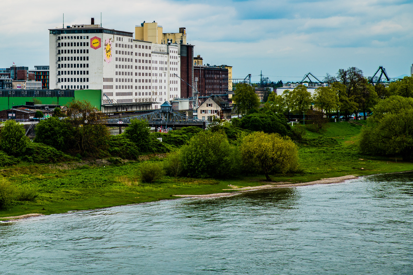 Sony a7R II + Tamron SP 24-70mm F2.8 Di VC USD sample photo. Köln im sommer 2016 photography