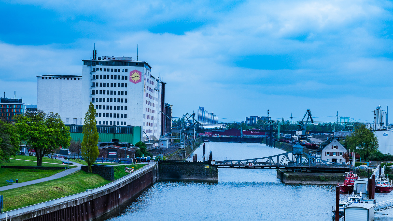 Sony a7R II + Tamron SP 24-70mm F2.8 Di VC USD sample photo. Köln im sommer 2016 photography