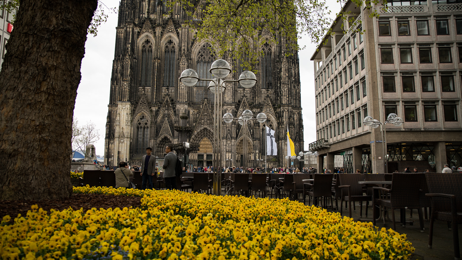 Sony a7R II + Tamron SP 24-70mm F2.8 Di VC USD sample photo. Köln im sommer 2016 photography