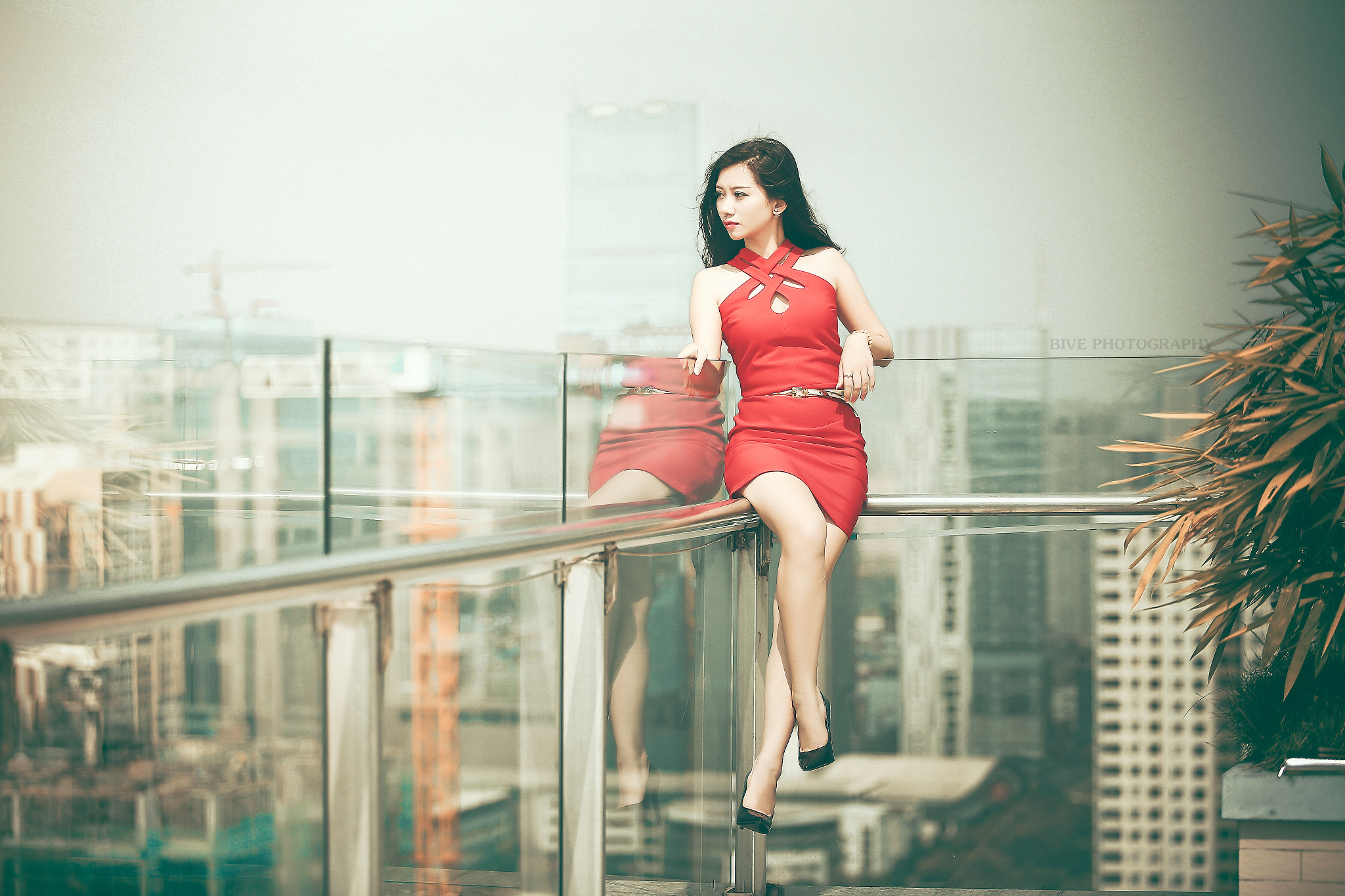 Canon EF 80-200mm f/2.8L sample photo. Untitled photography