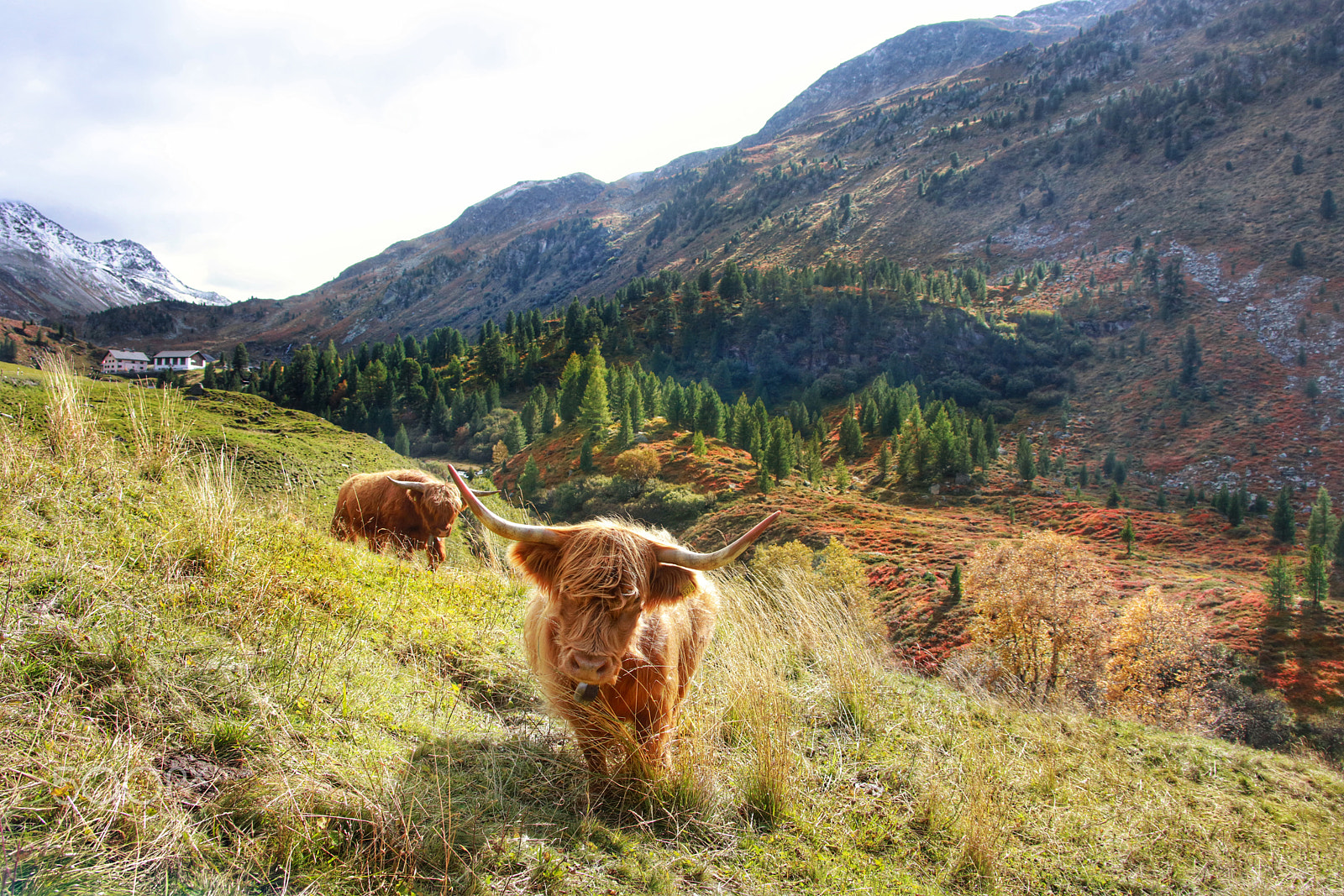 Canon EF 28-300mm F3.5-5.6L IS USM sample photo. Our flüela valley   ( close to davos ) photography