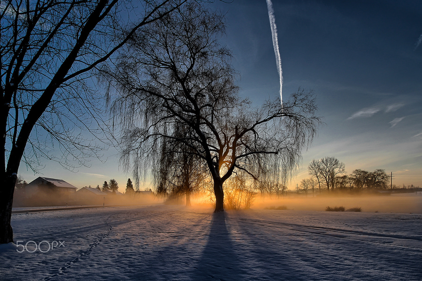 10.0 - 18.0 mm sample photo. Morning winter light photography