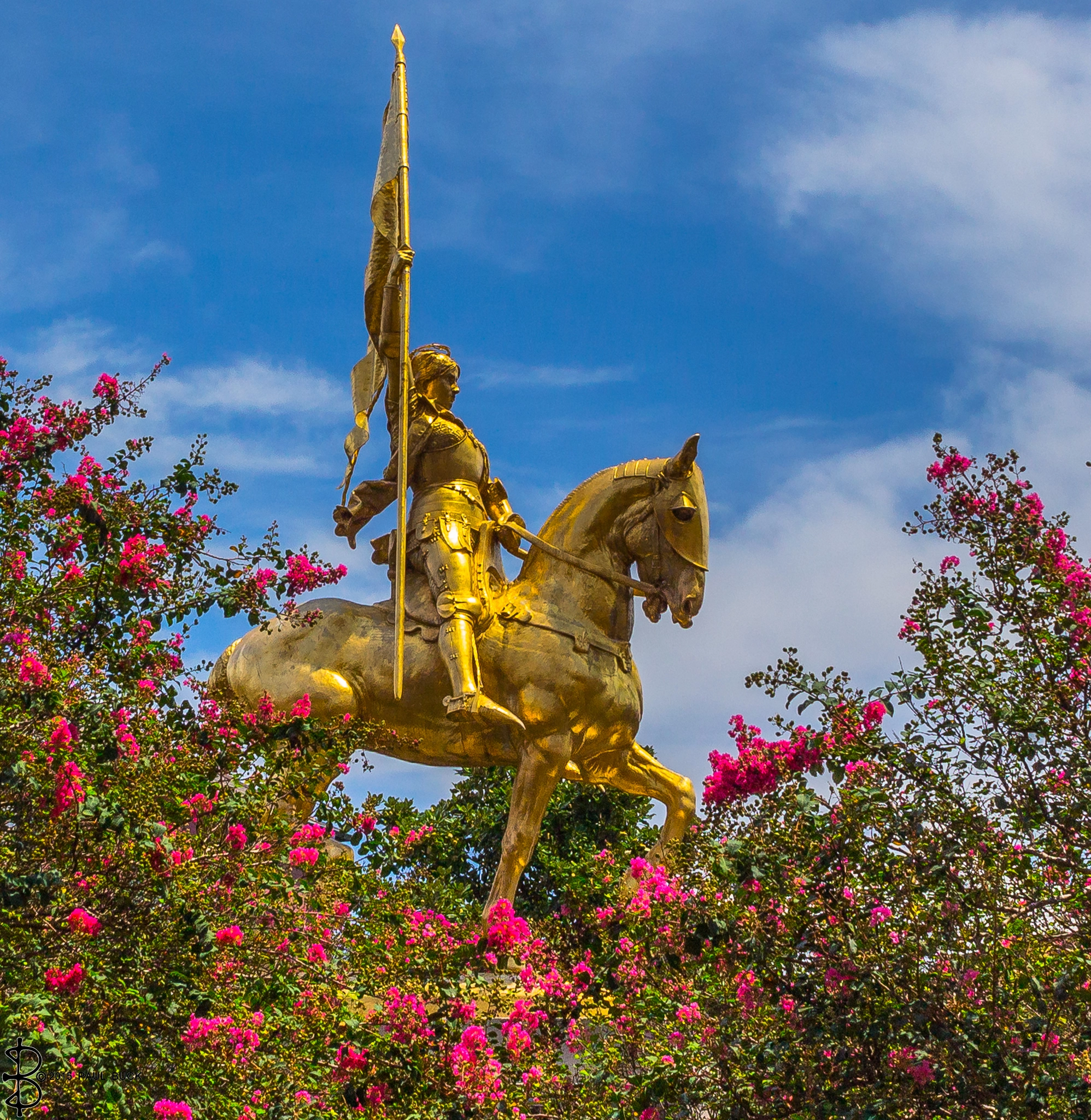 Canon EF-S 24mm F2.8 STM sample photo. Maid of orleans amongst the flowers photography