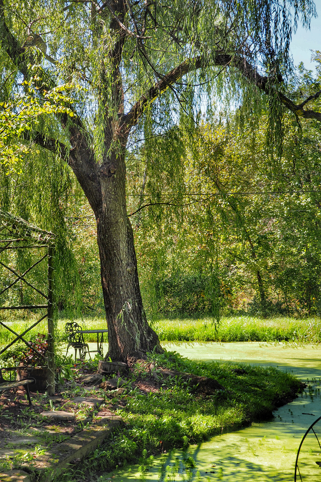 Olympus OM-D E-M10 + Olympus M.Zuiko Digital ED 14-150mm F4-5.6 sample photo. Out for lunch at cafe, then walked around grounds and saw this scenes. photography