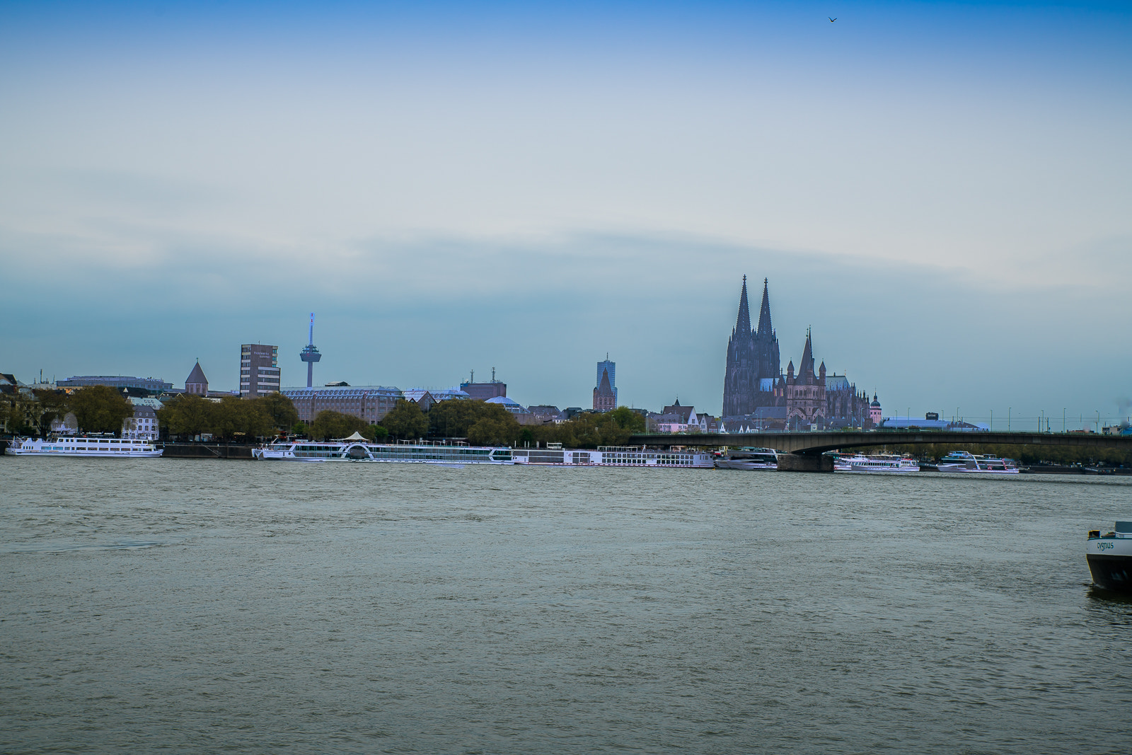 Sony a7R II + Tamron SP 24-70mm F2.8 Di VC USD sample photo. Köln am rhein photography