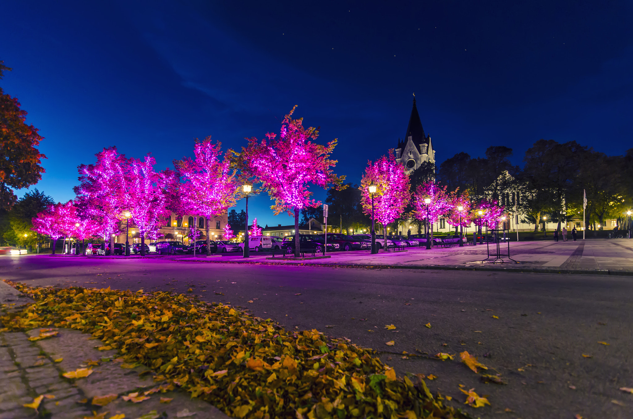 Tokina AT-X Pro 11-16mm F2.8 DX sample photo. The pink ribbon photography