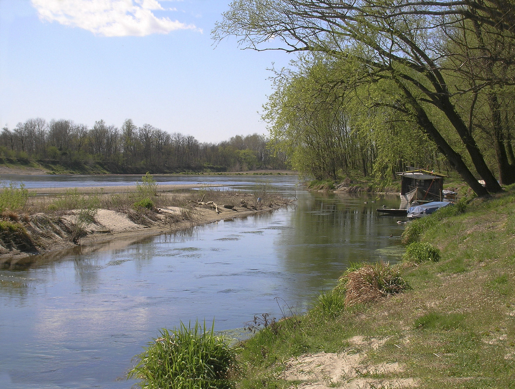 Nikon E4600 sample photo. Pavia: fiume ticino photography