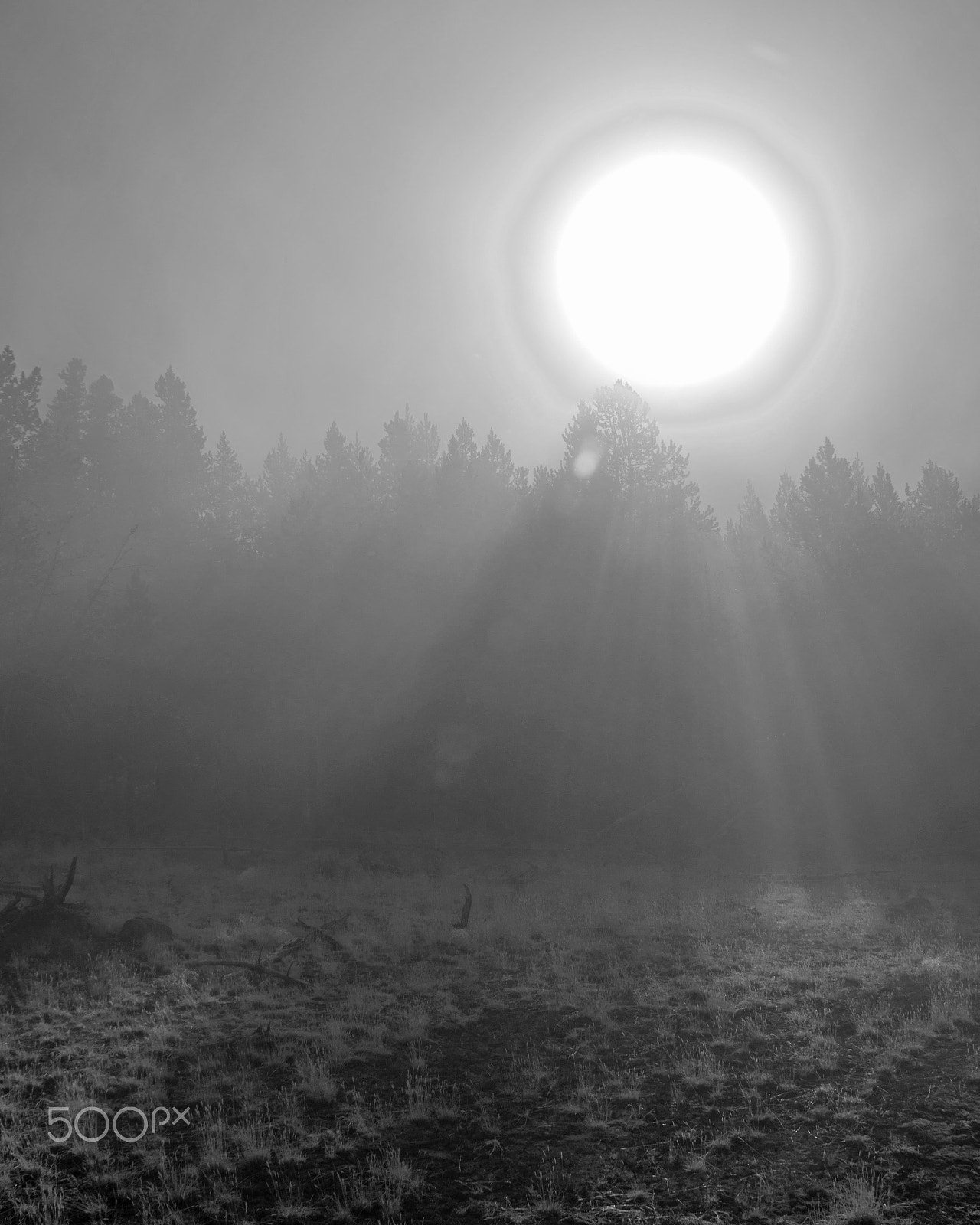 Nikon D5300 + Tamron AF 18-270mm F3.5-6.3 Di II VC LD Aspherical (IF) MACRO sample photo. Black and white of the rising sun on a foggy day. photography
