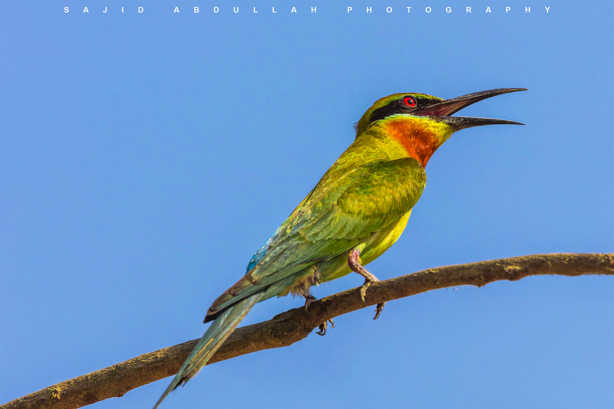 Canon EOS 5DS R sample photo. Color of nature!!! photography