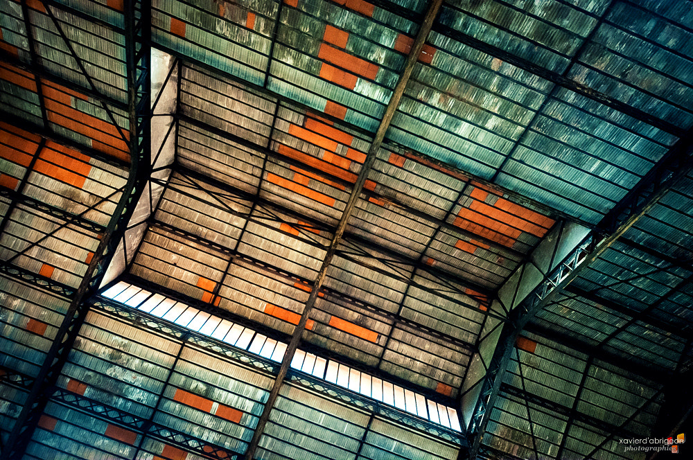Sigma 8-16mm F4.5-5.6 DC HSM sample photo. Le toit de l'usine photography