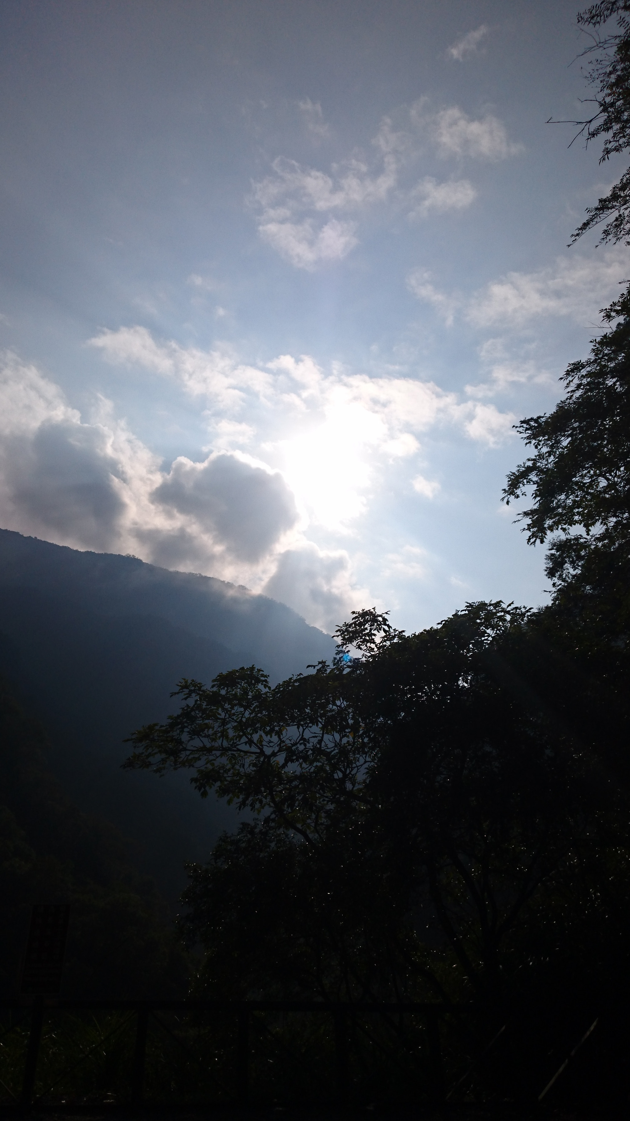 Sony Xperia Z3+ sample photo