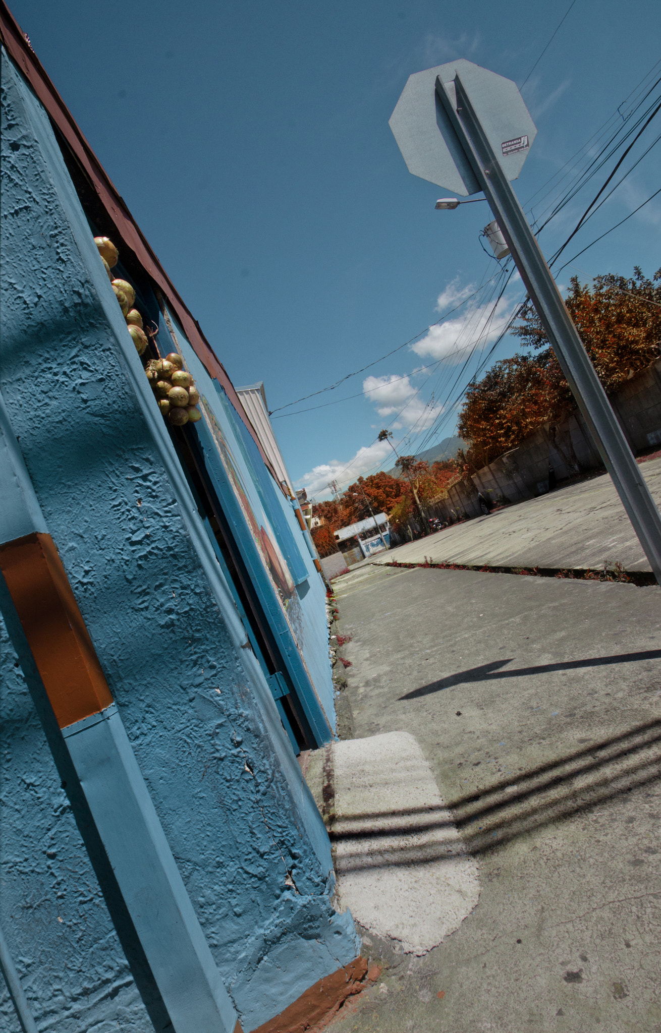 Sigma 10-20mm F3.5 EX DC HSM sample photo. Onions photography