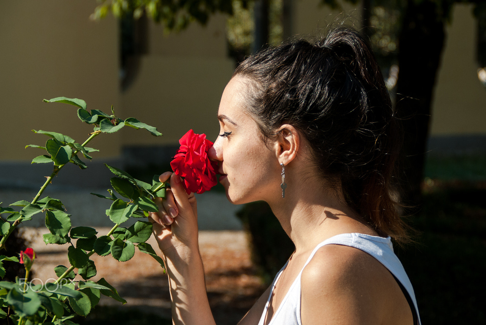Nikon D3000 sample photo. In love with flowers photography