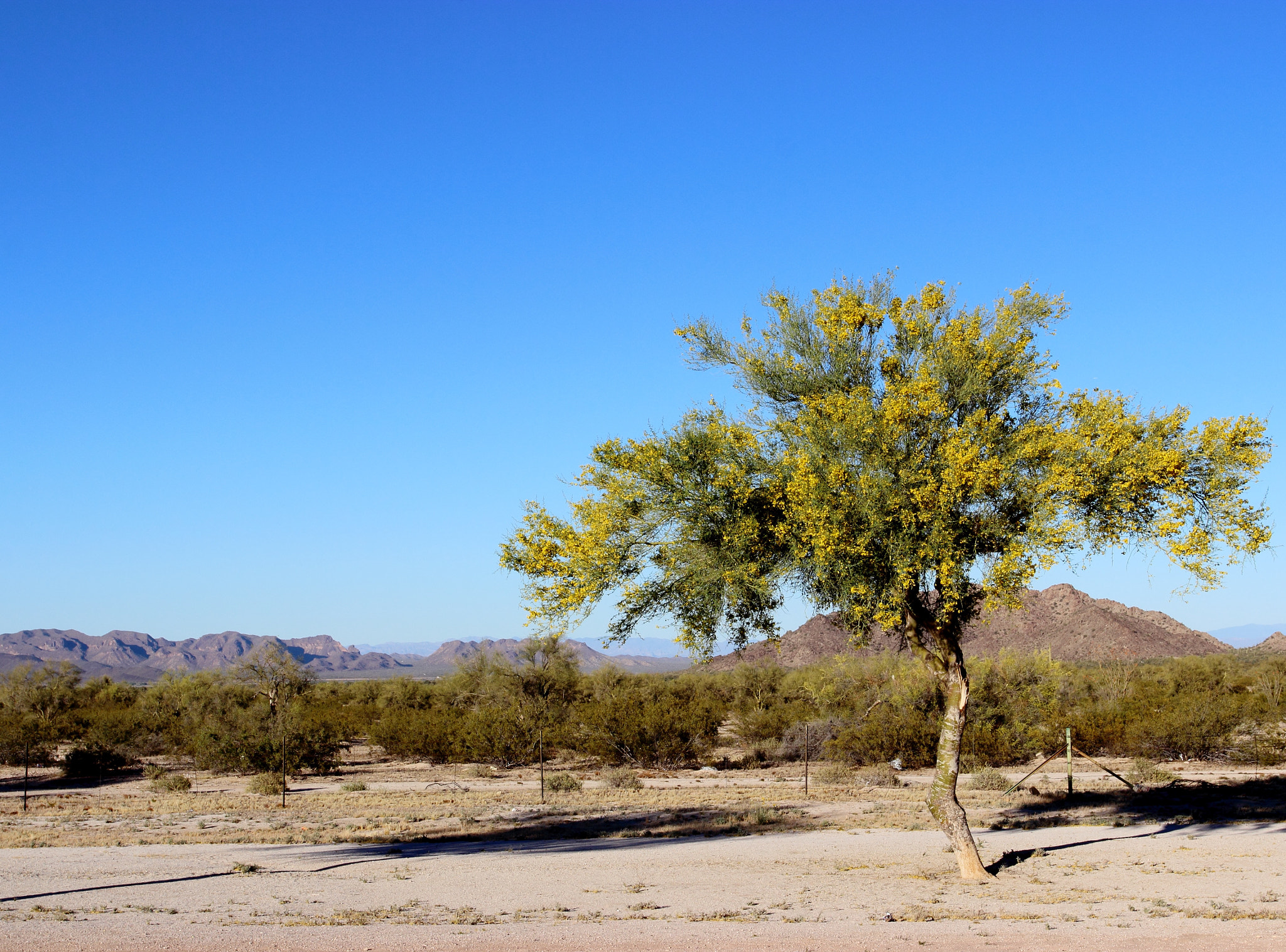 Canon EOS 600D (Rebel EOS T3i / EOS Kiss X5) sample photo. 17/30 : unbalanced photography