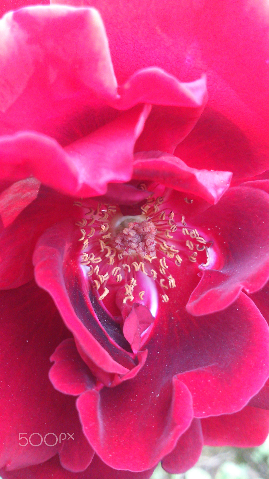 Sony Xperia T sample photo. Untitled photography