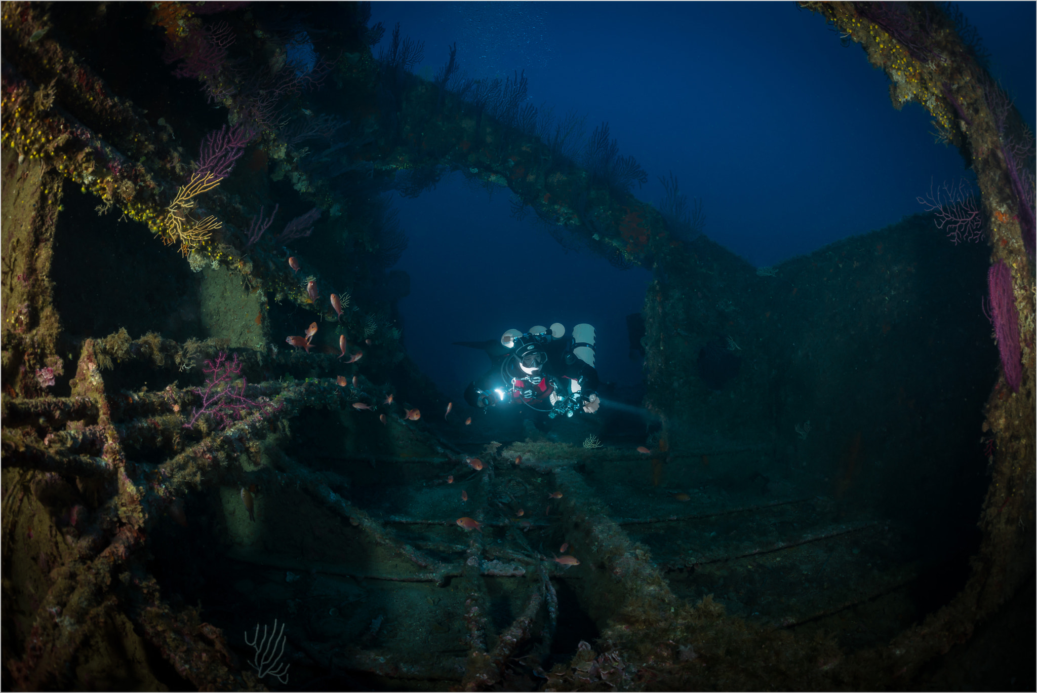 Nikon D800E sample photo. Exploring the wreck photography