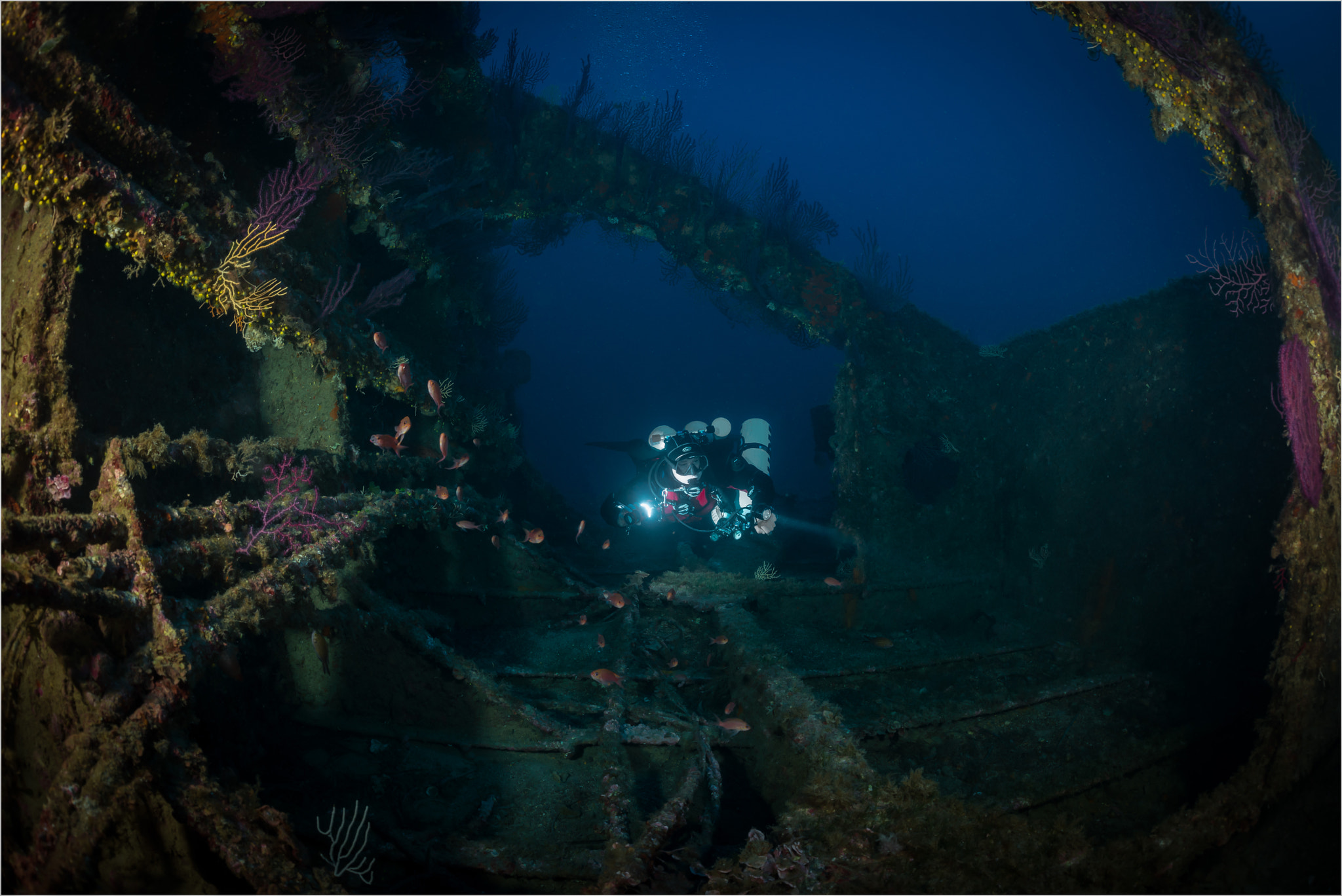 Nikon D800E + Nikon AF Fisheye-Nikkor 16mm F2.8D sample photo. Exploring the wreck photography