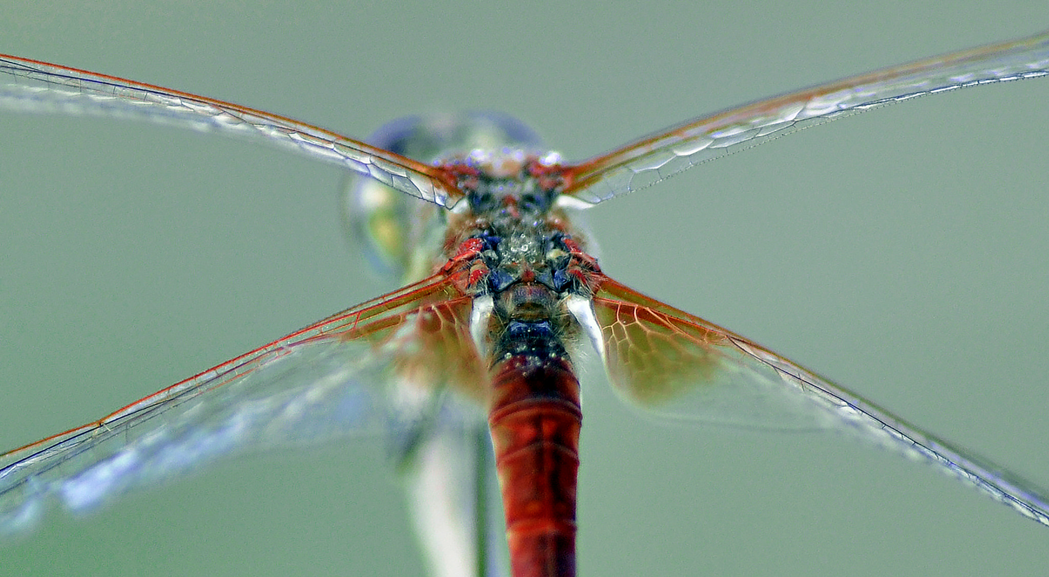 Nikon D5000 sample photo. Backwards photography