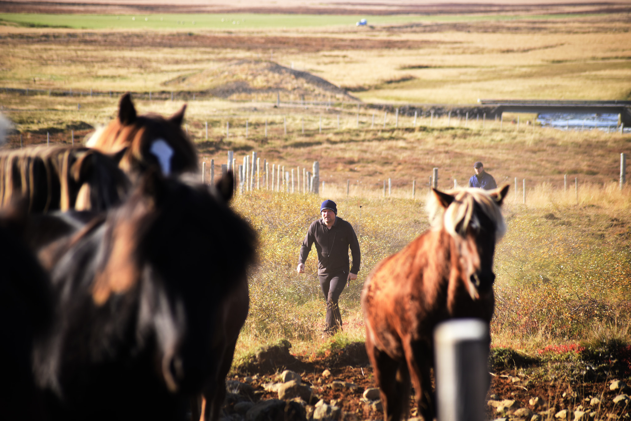 Nikon D810A sample photo. Friðgeir photography