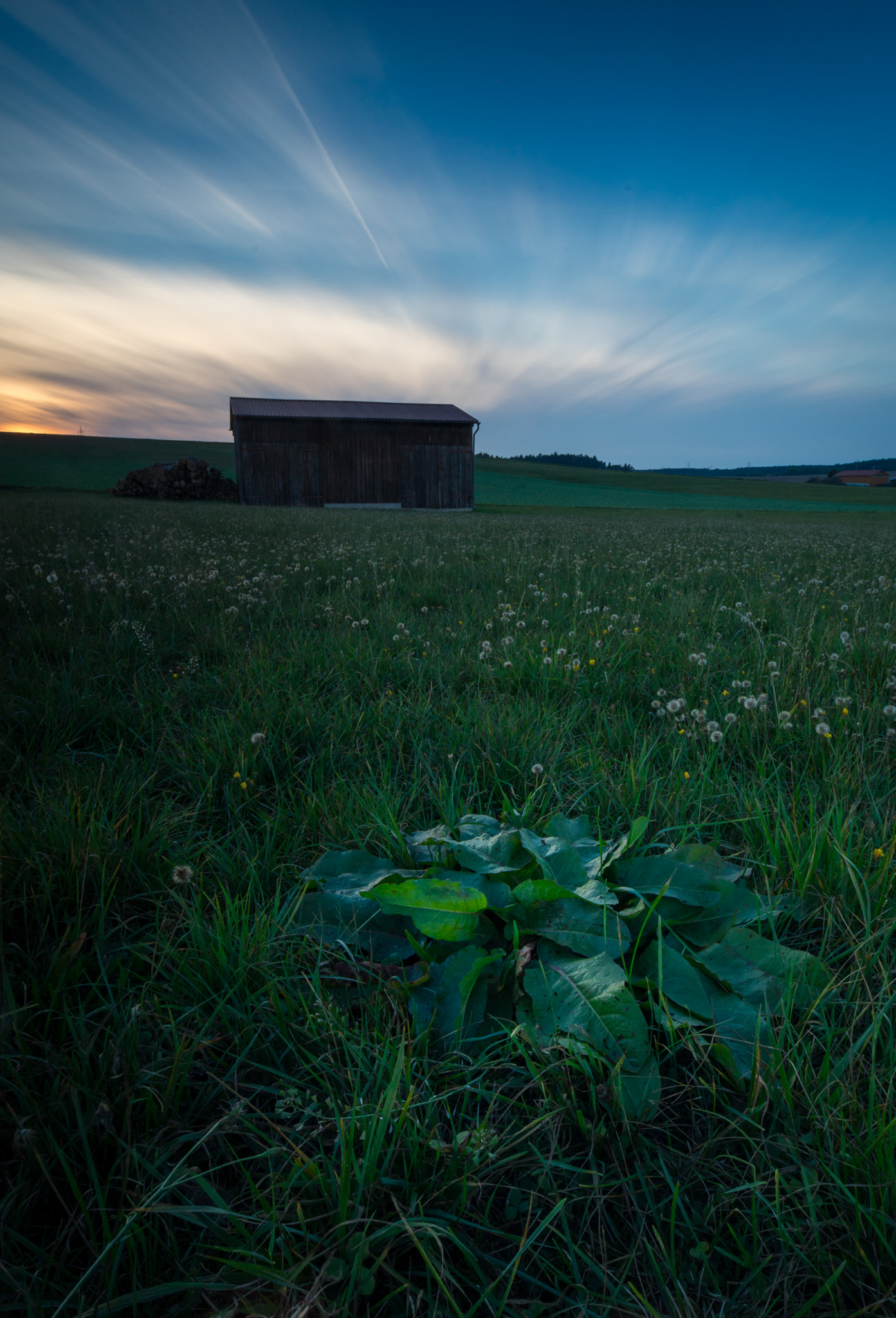 Sony a7R sample photo. In the field photography