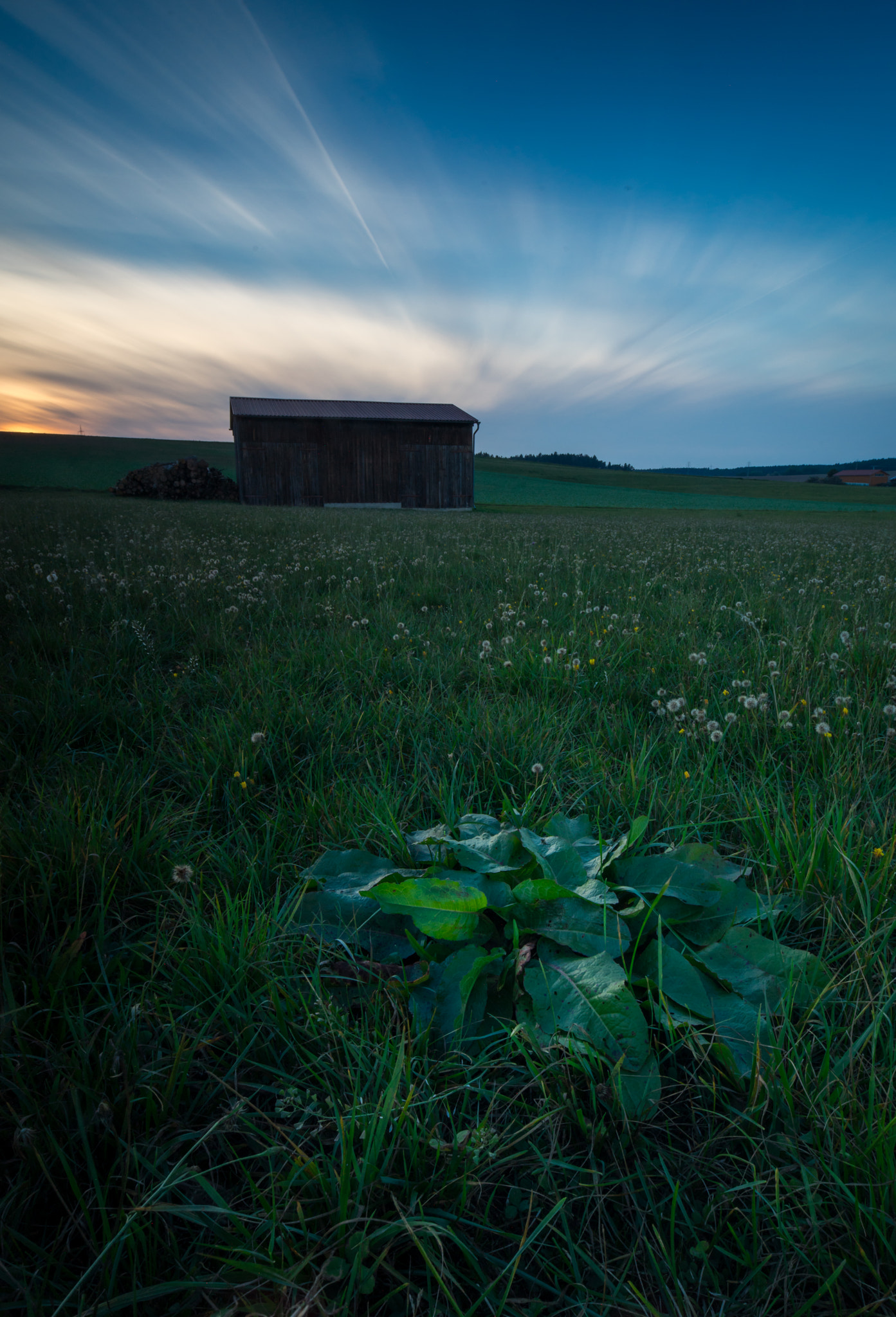 Tamron 18-270mm F3.5-6.3 Di II PZD sample photo. In the field photography