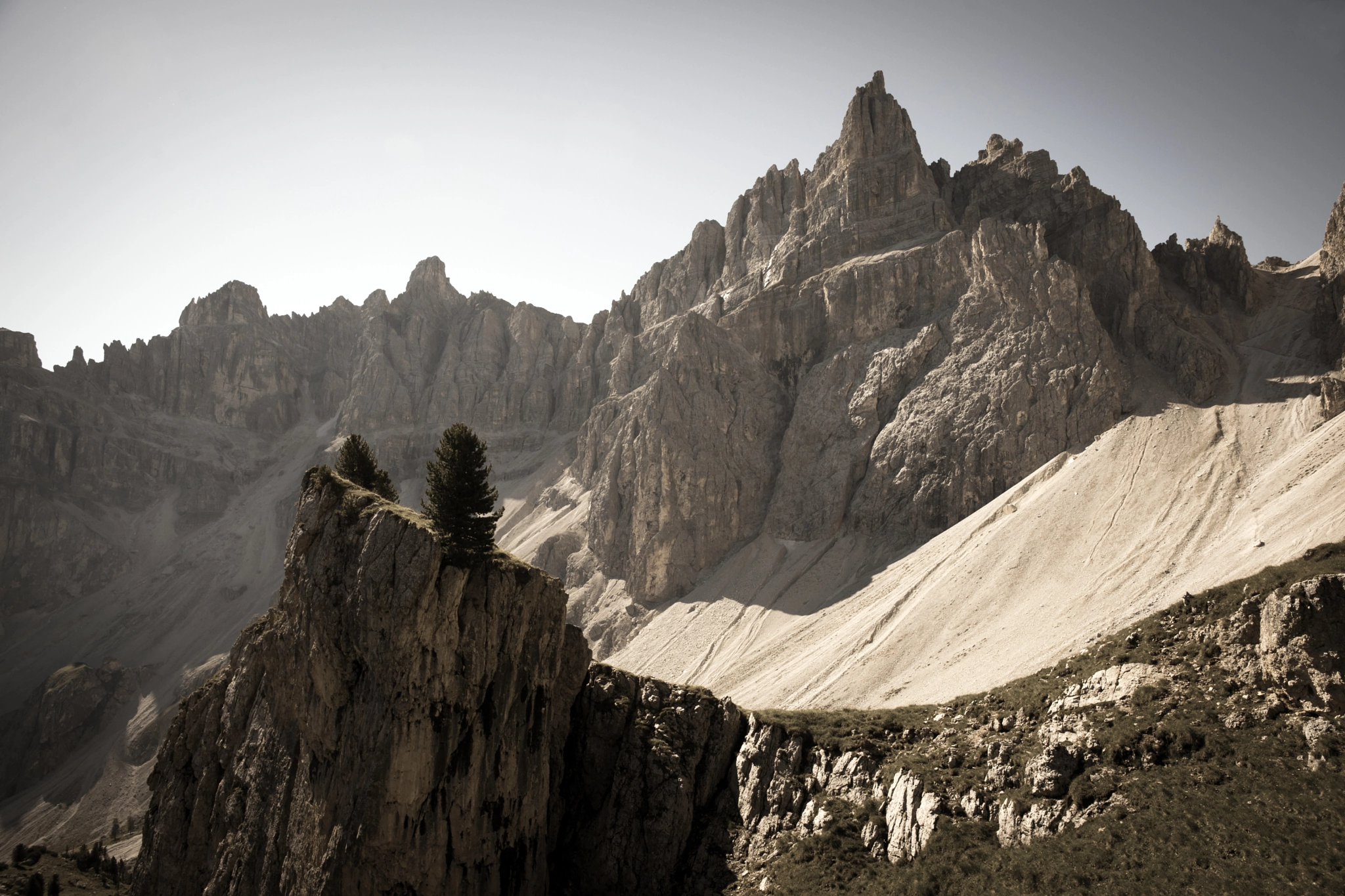 Sony Alpha DSLR-A900 sample photo. Swiss stone pine at medalghes photography