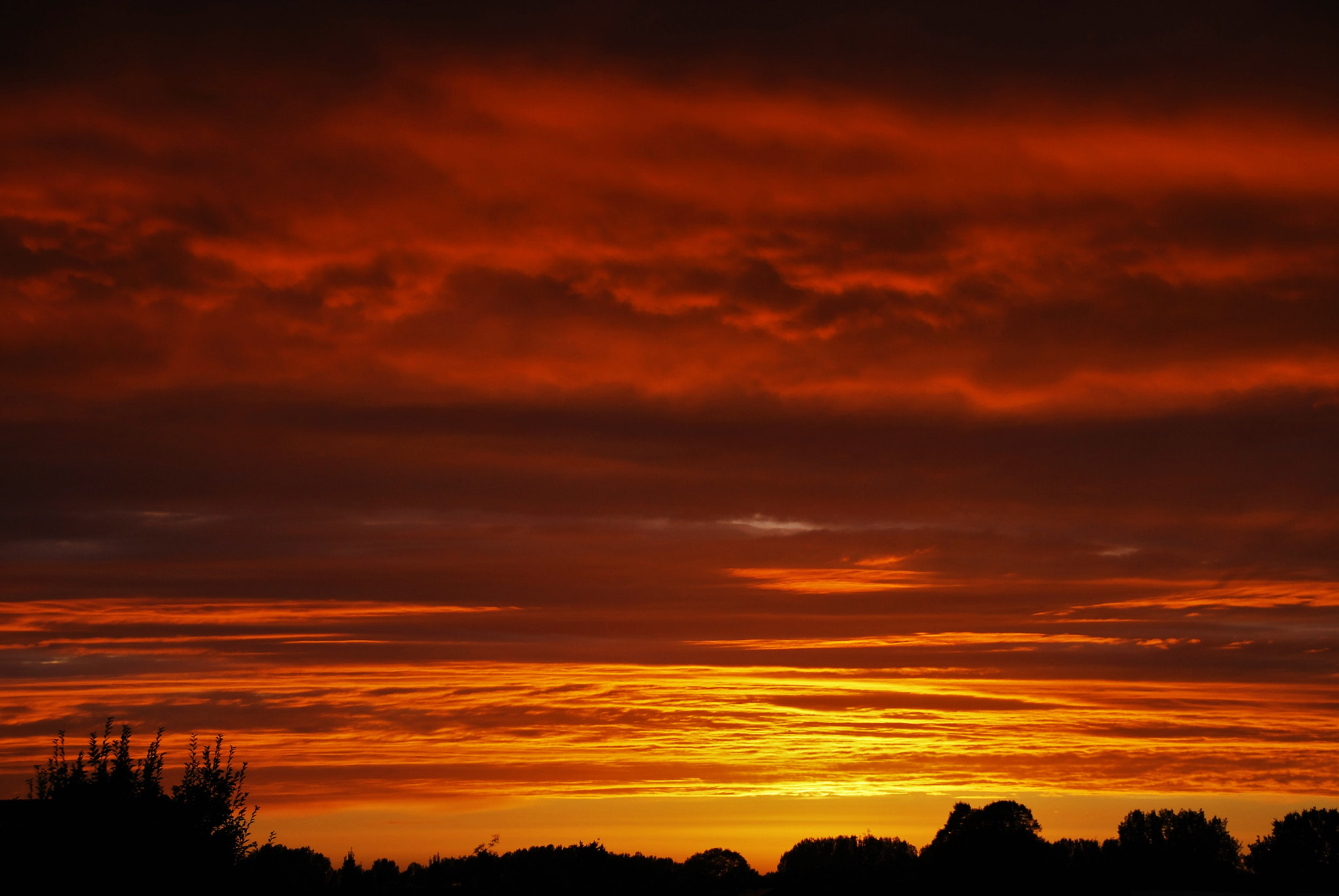 Nikon D60 sample photo. Golden sunset photography