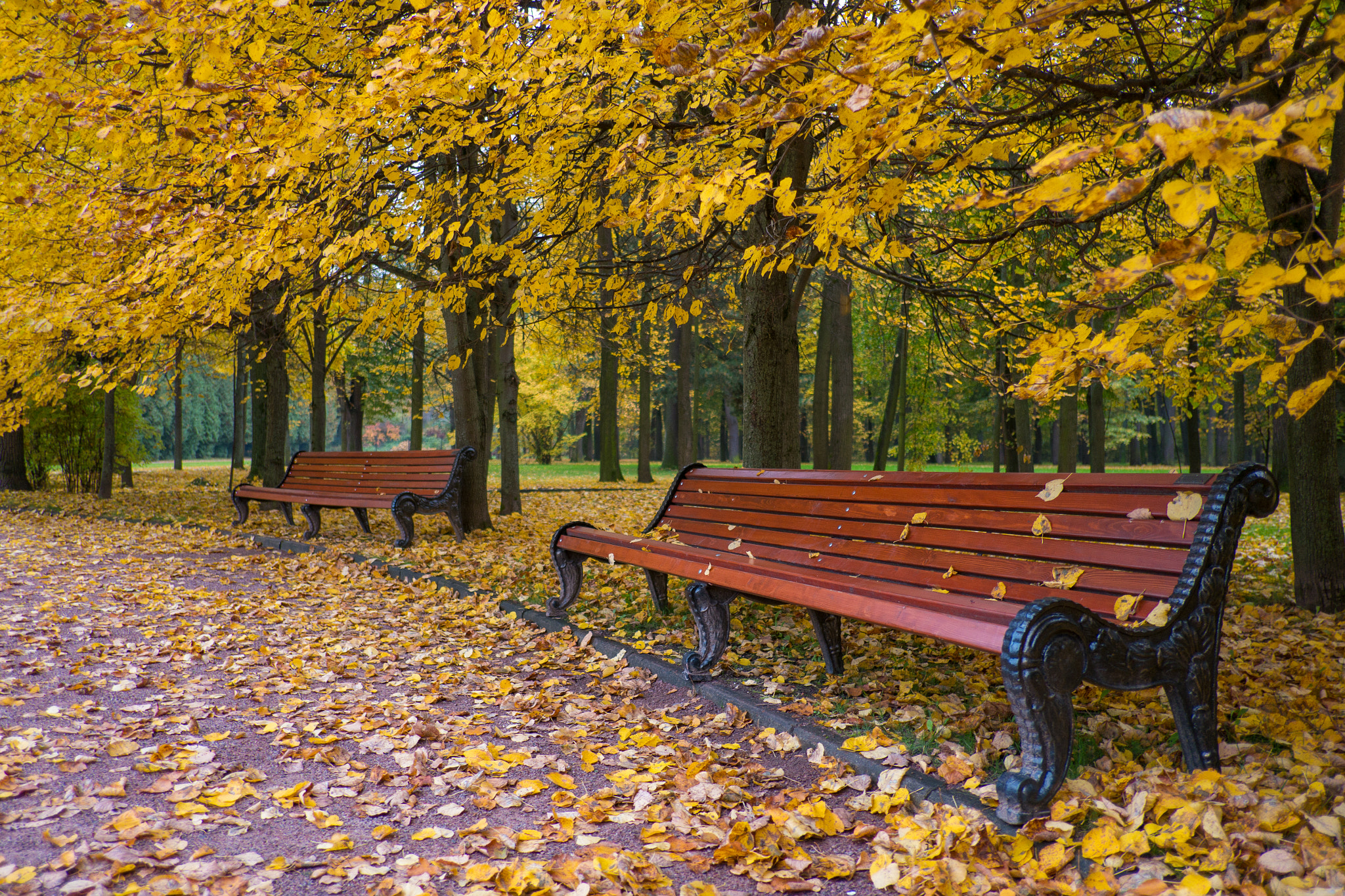 Fujifilm X-A1 sample photo. Autumn in the park photography