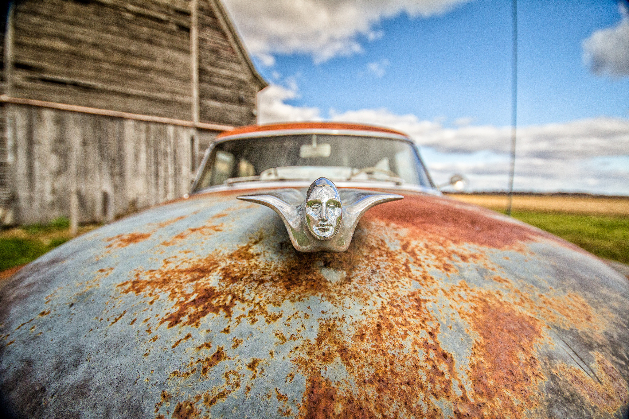 Sigma 10-20mm F4-5.6 EX DC HSM sample photo. Flying goddess hood ornament on a 1950's cadillac in rochelle, il -torcwori photography
