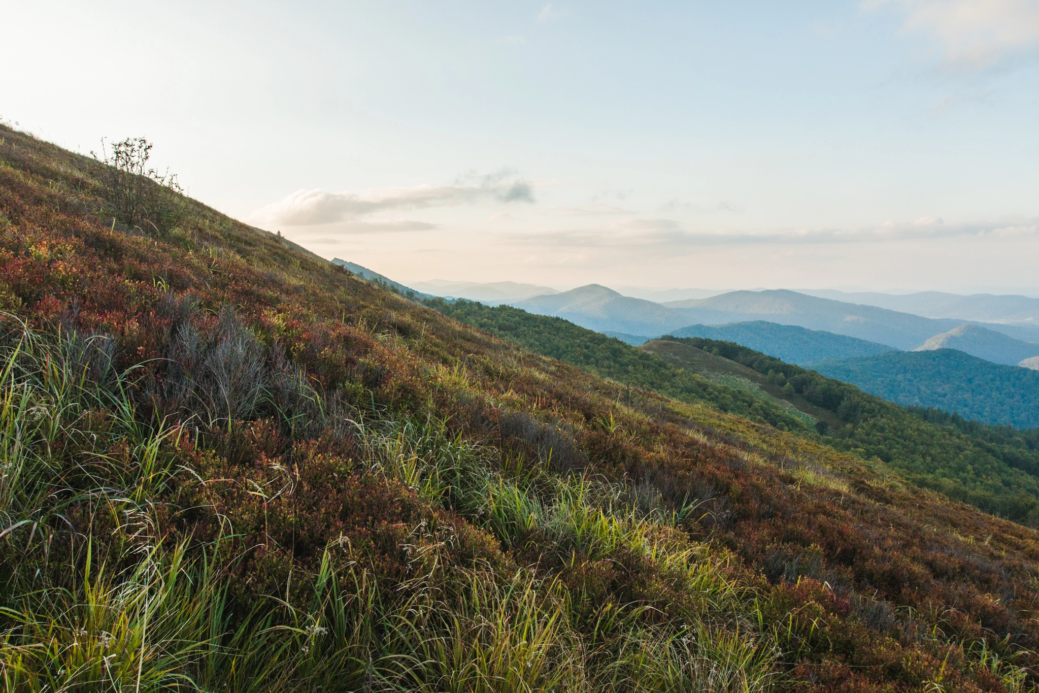 Canon EF 16-35mm F2.8L II USM sample photo. Bieszczady photography