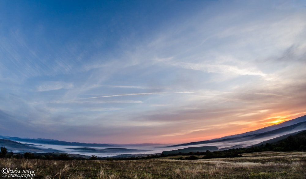 Nikon D7000 + Samyang 8mm F3.5 Aspherical IF MC Fisheye sample photo. View photography