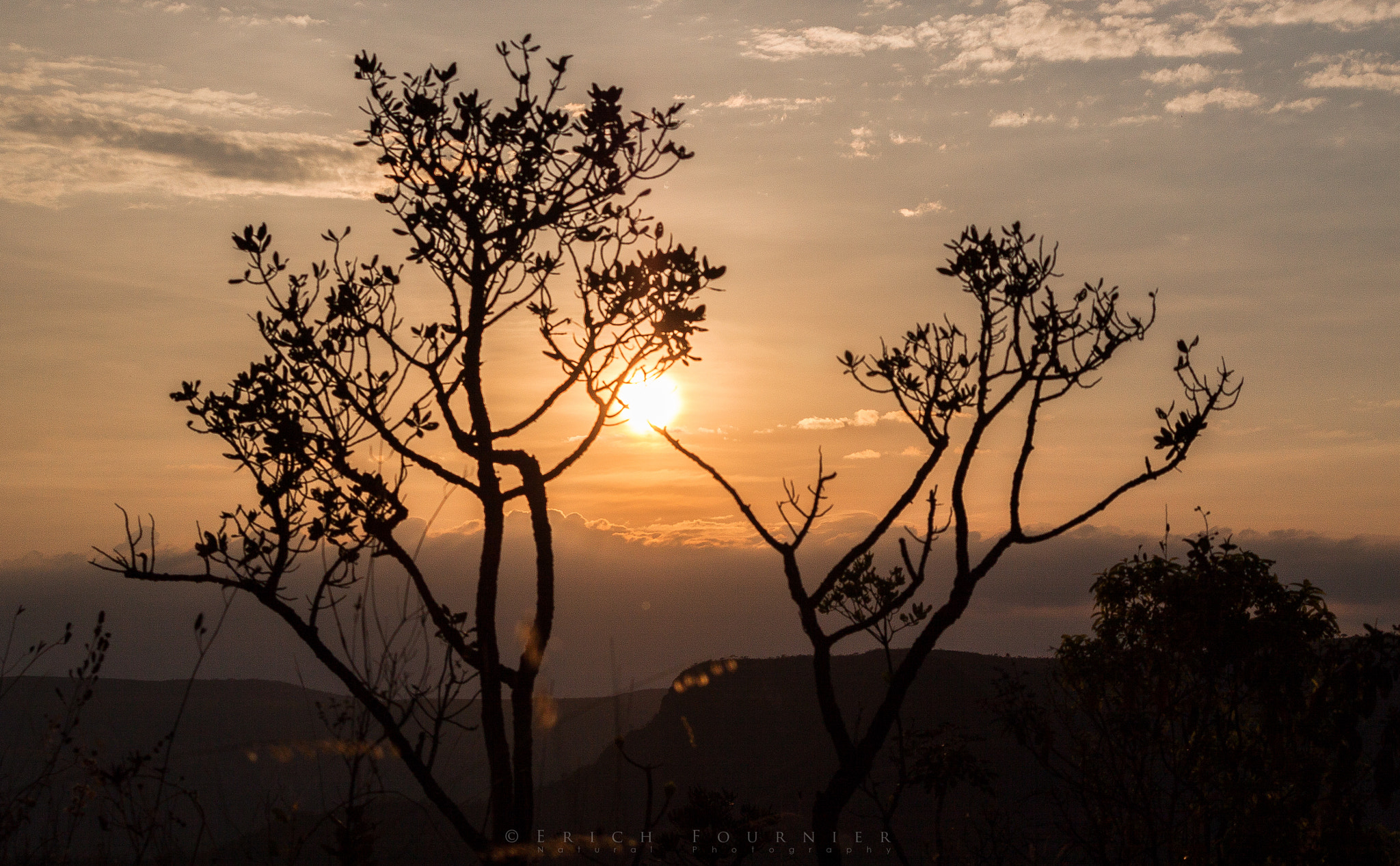 Canon EF-S 55-250mm F4-5.6 IS II sample photo. Chapada dos veadeiros - go photography