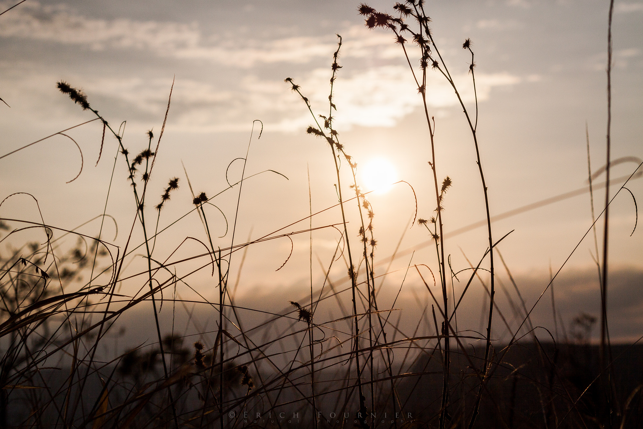 Canon EOS 50D sample photo. Chapada dos veadeiros - go photography