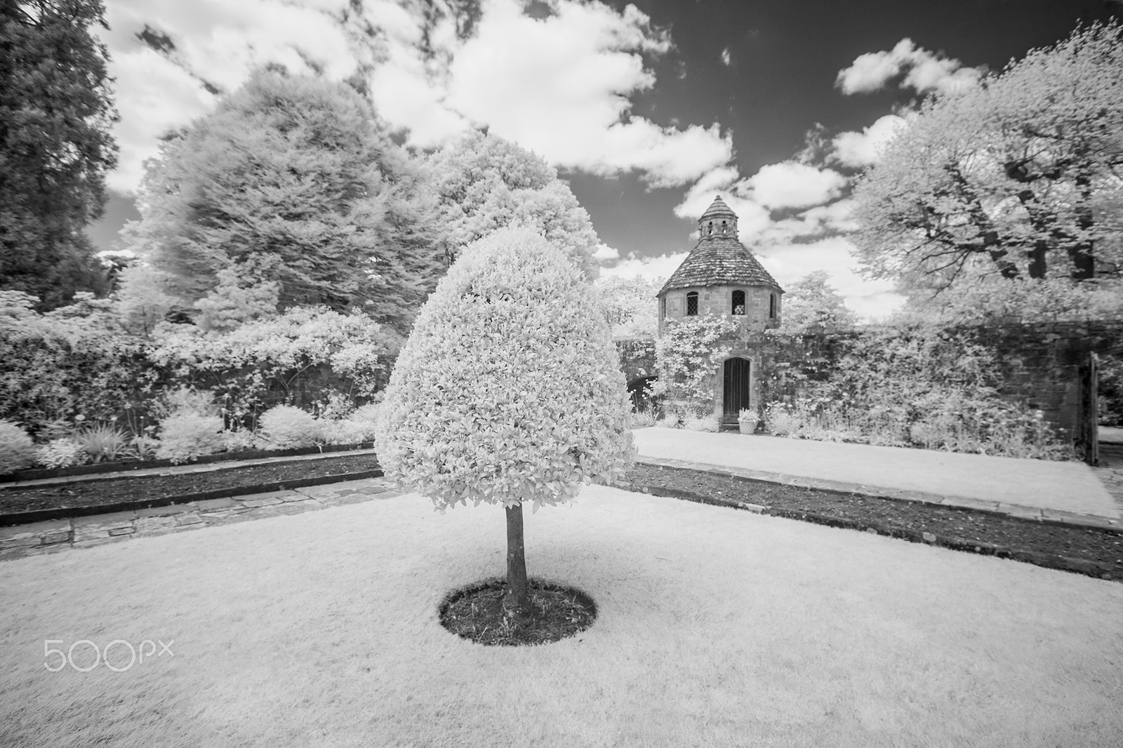 Canon EF 16-35mm F2.8L II USM sample photo. A nymans tree photography