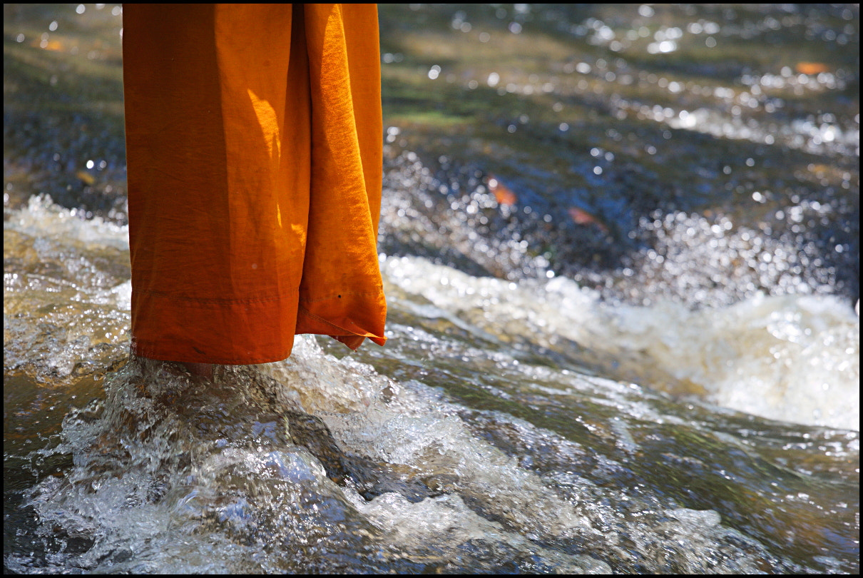 Canon EOS-1D Mark III sample photo. Meditation photography