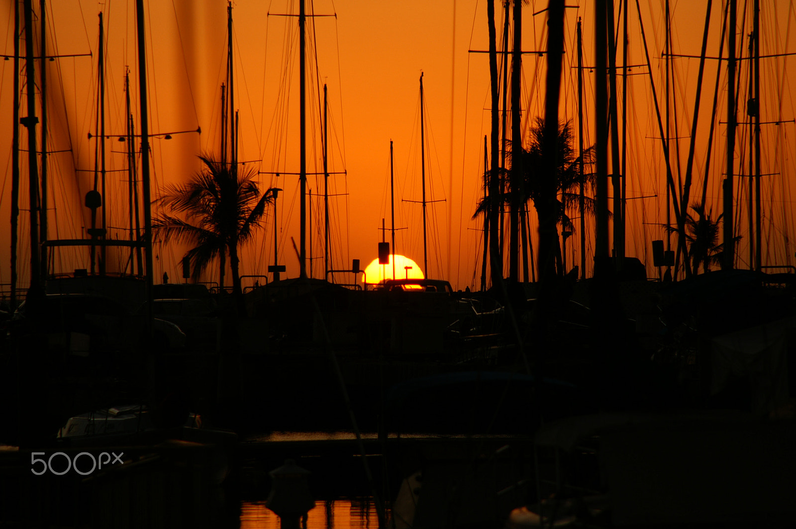 Sigma 18-200mm F3.5-6.3 DC sample photo. Paradise harbor photography
