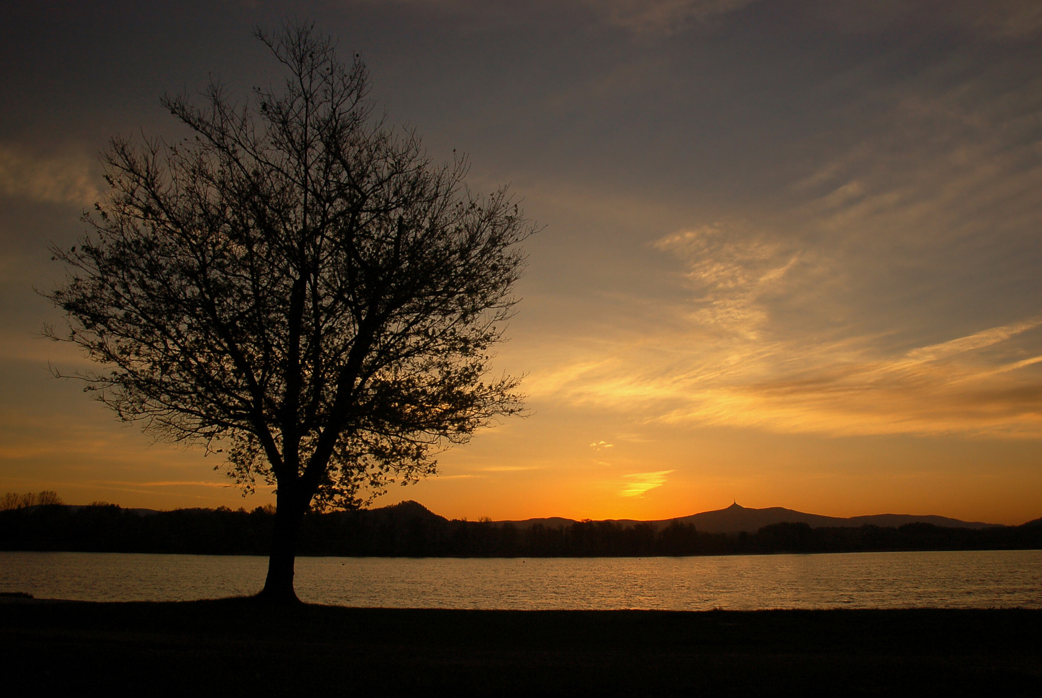 Nikon D50 sample photo. () photography