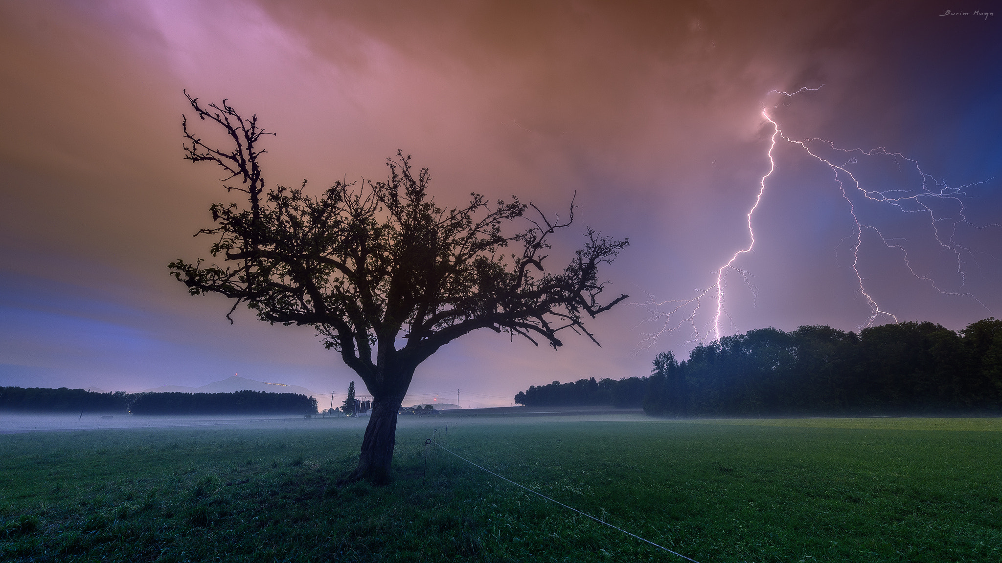 Nikon Df sample photo. Lightning tree photography