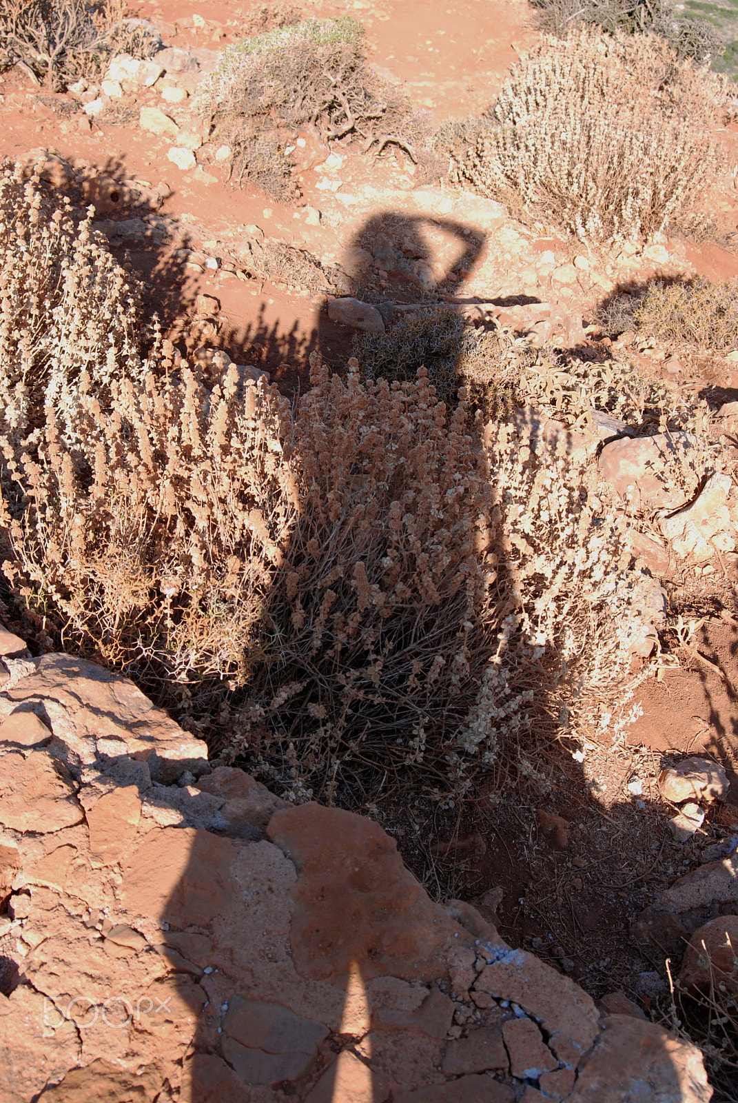 AF Zoom-Nikkor 28-70mm f/3.5-4.5D sample photo. Catching my shadow photography