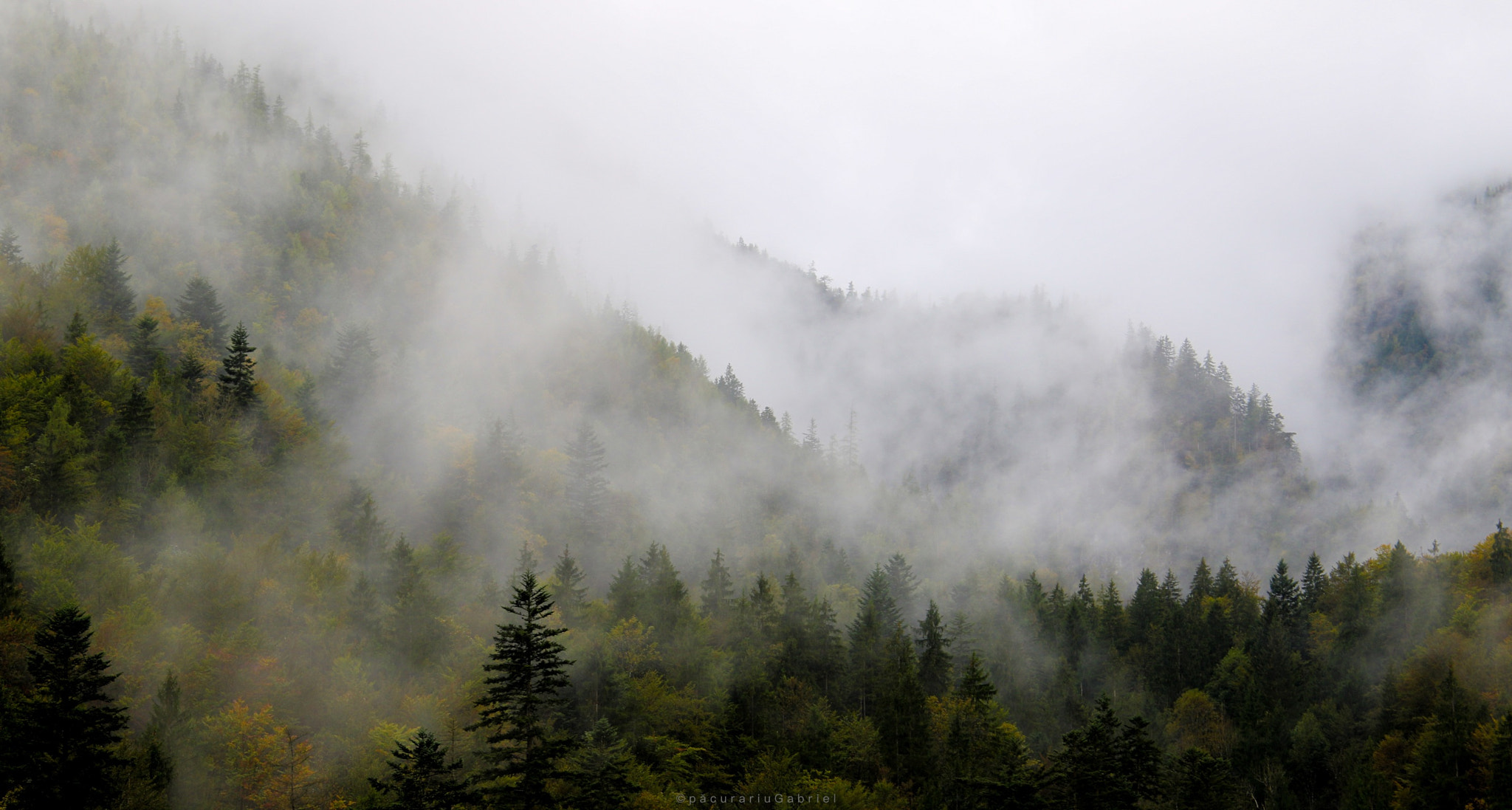 Canon EF 24-105mm F3.5-5.6 IS STM sample photo. Fog over berchtesgaden photography