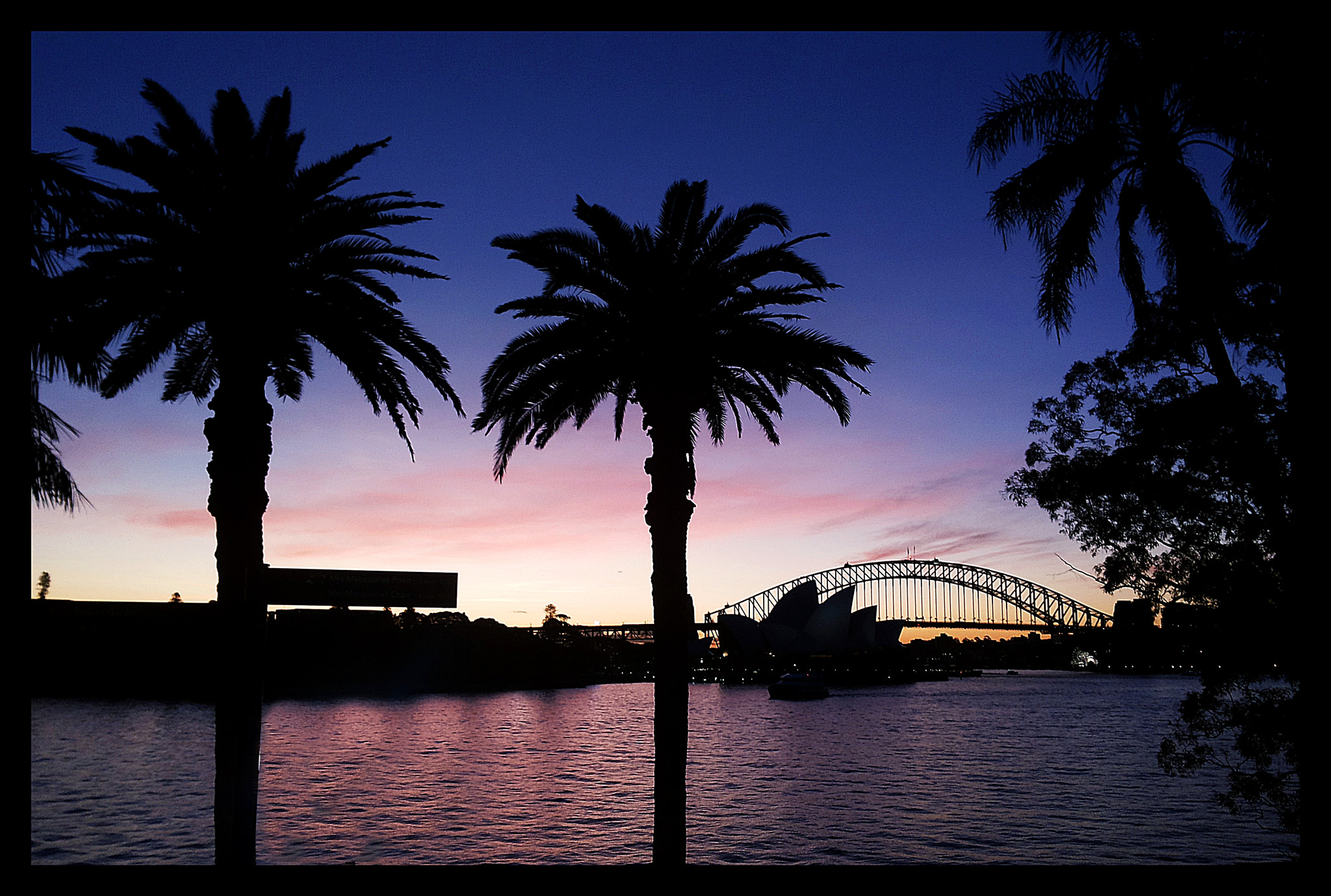 Samsung Galaxy S2 Plus sample photo. Syd nsw photography