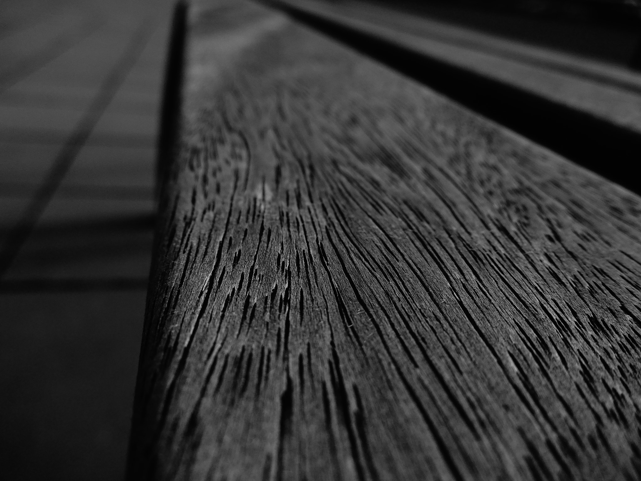 Sony Cyber-shot DSC-WX220 sample photo. Wood photography
