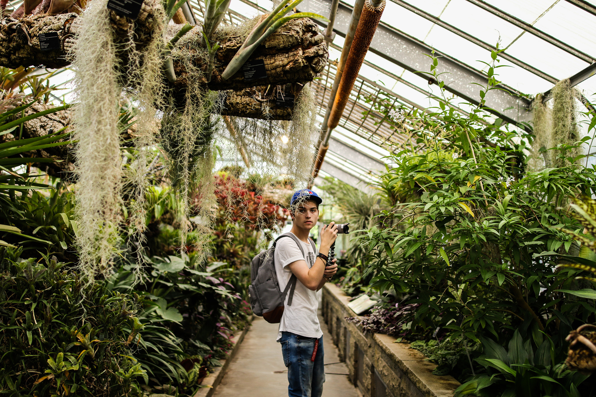 Sigma 24mm F1.4 DG HSM Art sample photo. Breathing ability photography