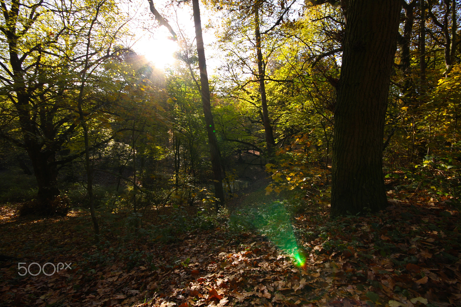 Canon EOS 40D + Sigma 10-20mm F4-5.6 EX DC HSM sample photo. Lensflare photography